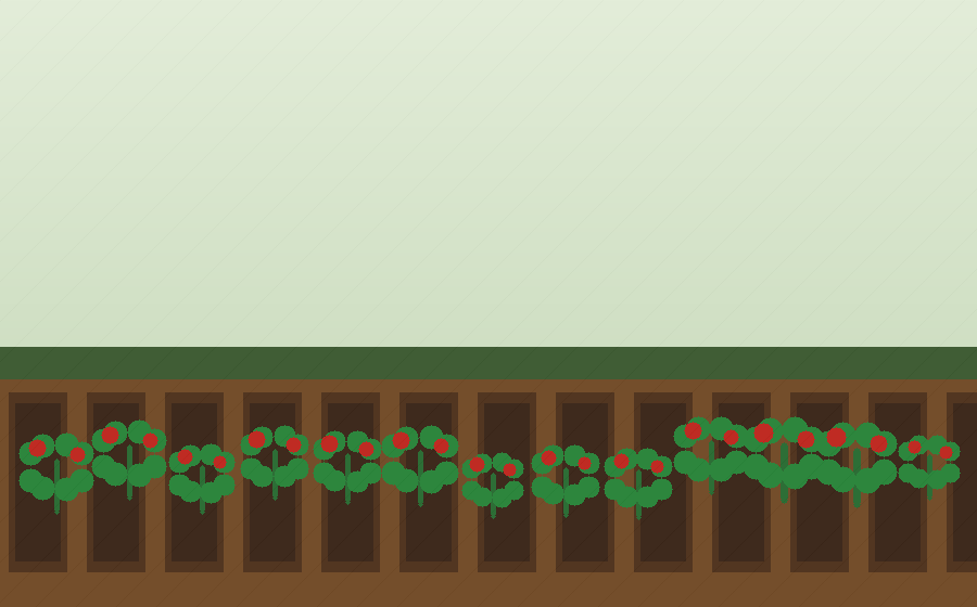 Complete Tomato Growing Guide