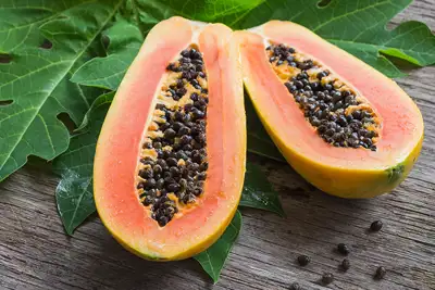 how-to-grow-paw-paw_1551155006541