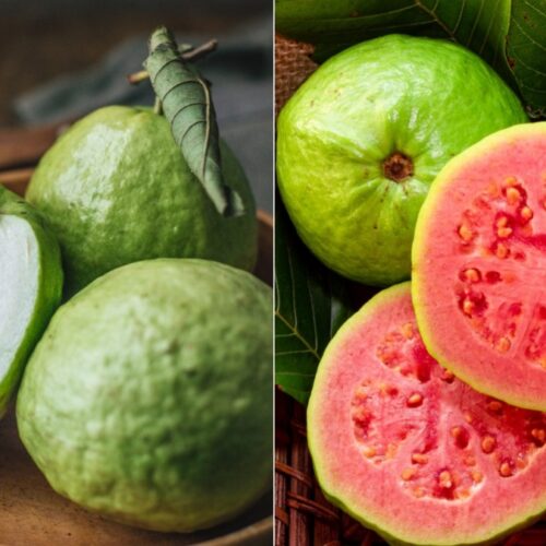 befunky-collage-2024-12-31t080310-1735612349