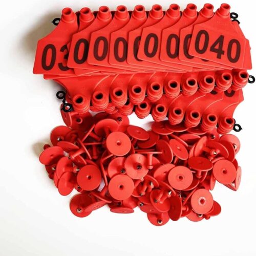 61gzfV-hJBL._AC_UF894,1000_QL80_